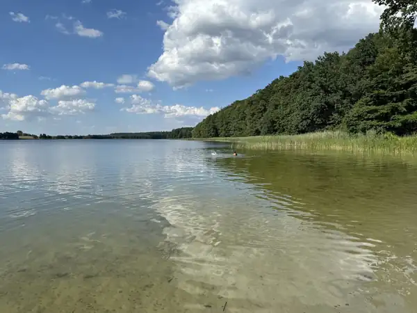 Jezioro Burgale i leśny brzeg
